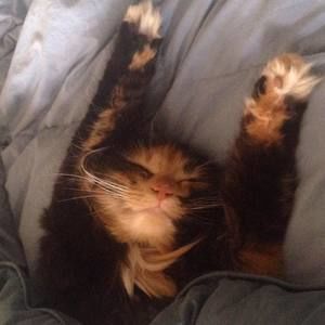 Meet your Posher, Stacey